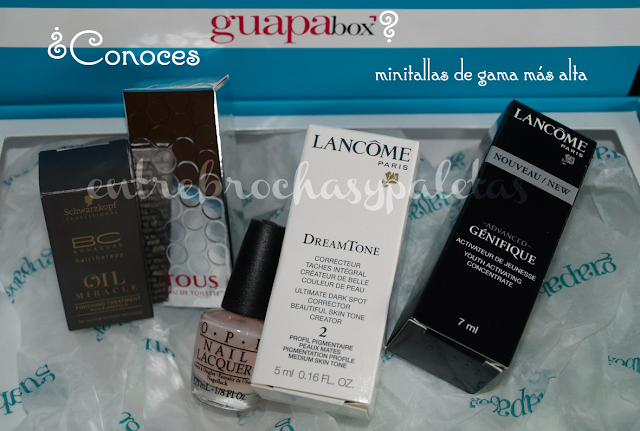 Primera Guapabox la caja de las minitallas – Entre brochas y paletas | Blog de belleza