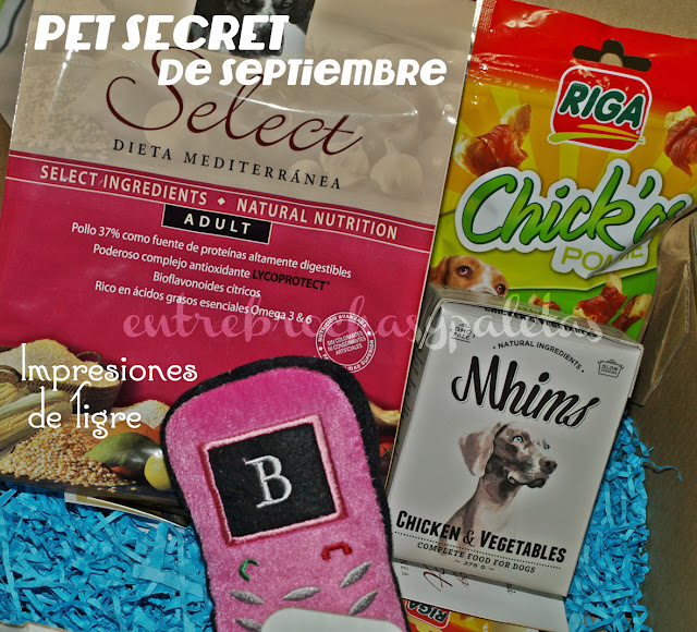 Tigre y la Pet secret de septiembre – Entre brochas y paletas | Blog de belleza